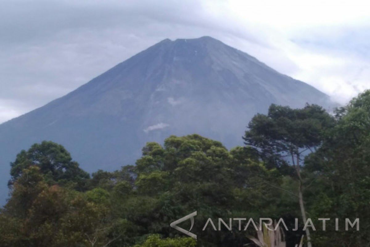 Status Waspada, Gunung Semeru Alami Gempa Letusan dan Guguran 