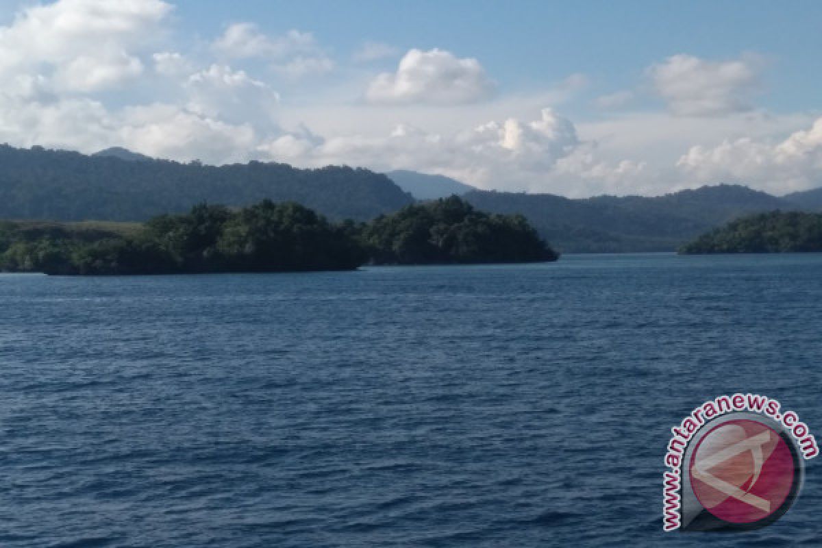 Penggunaan pukat harimau marak di Taman Nasional Teluk Cenderawasih