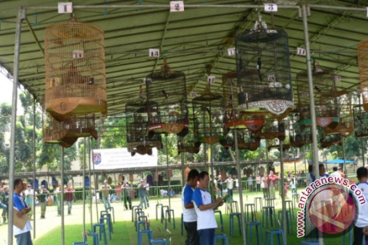 Bird Chirping Competition To be Padang Panjang Tourism Agenda