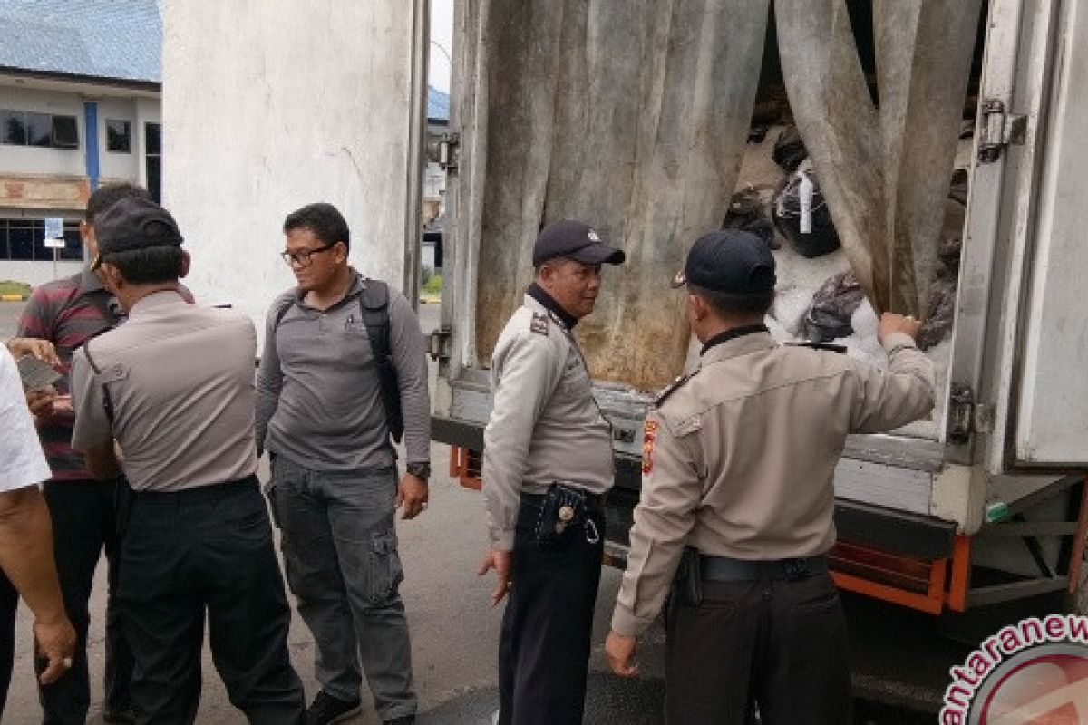 Polisi Sita Ikan Tuna Dari Jawa