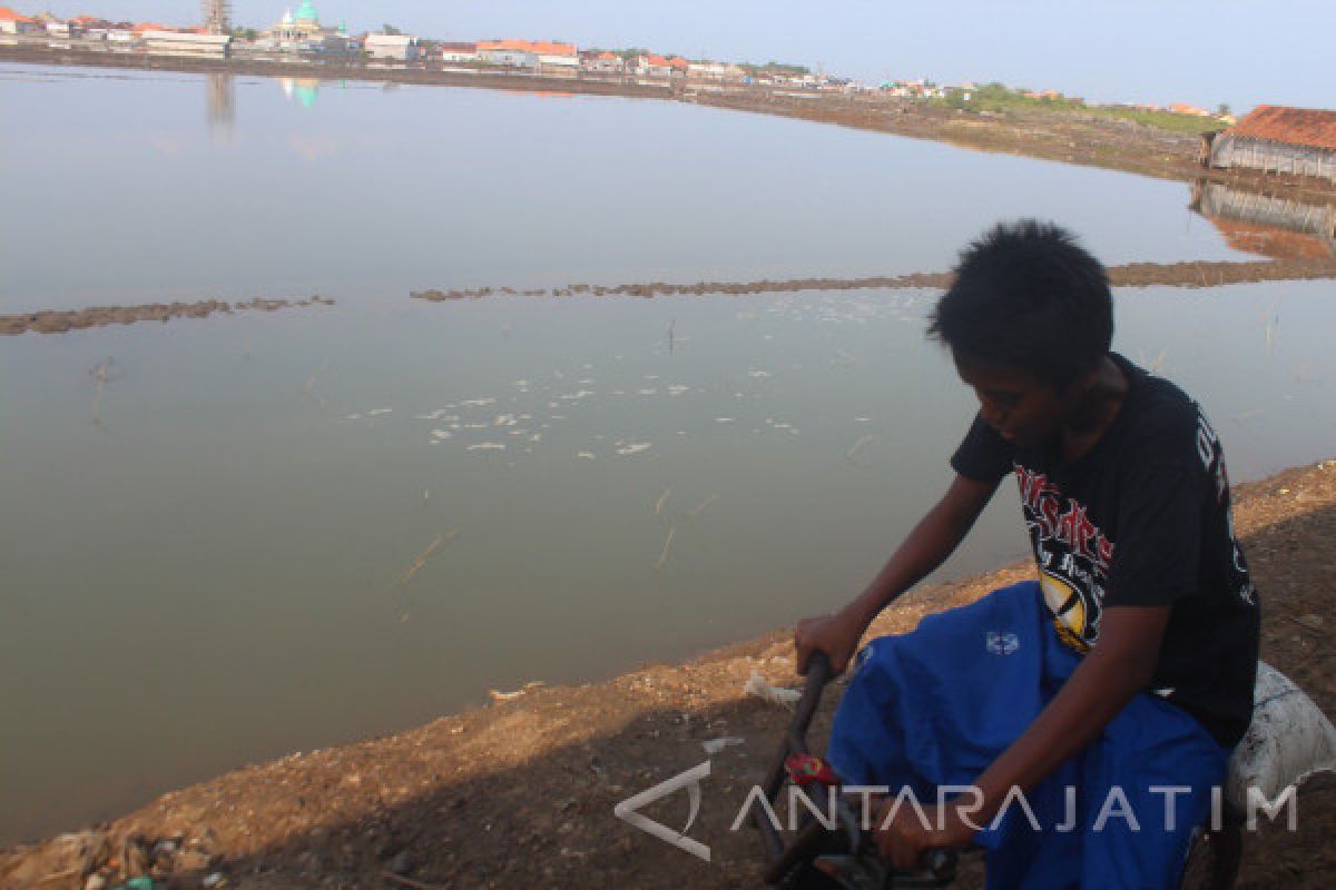 Petambak Sidoarjo Waspadai Pergantian Musim Kemarau-Hujan