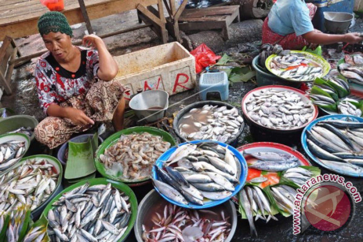 Harga Ikan Naik Drastis