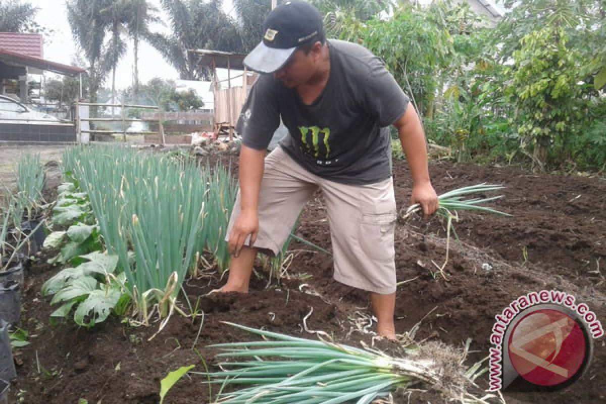 Petani sayuran Rejang Lebong keluhkan rendahnya harga jual