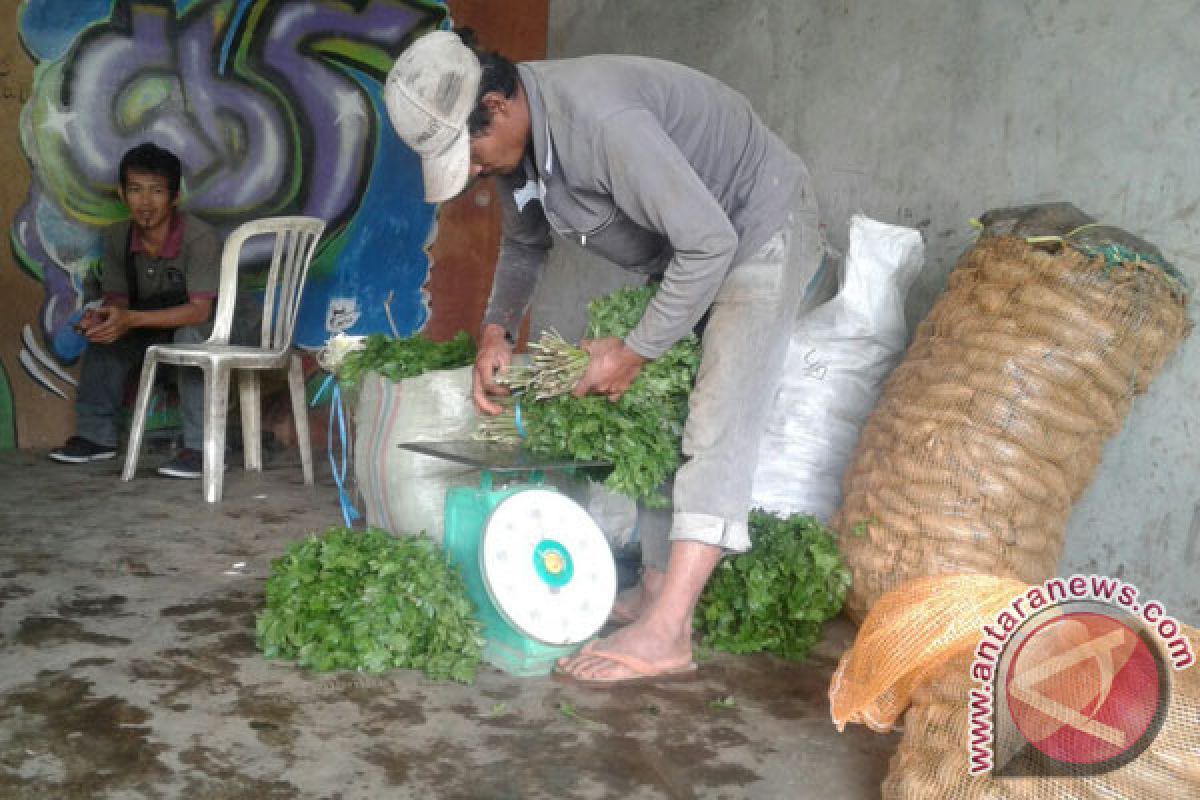 Harga sayuran di Rejang Lebong melambung