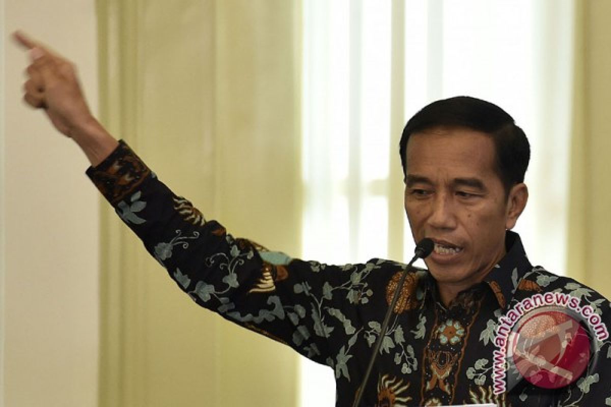 Widodo calls for task force to safeguard incoming investment