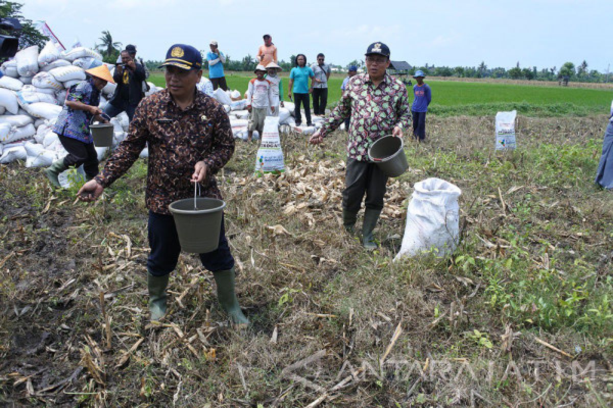 Pemkab dan DPRD Situbondo Persiapkan Perda Lahan Pertanian