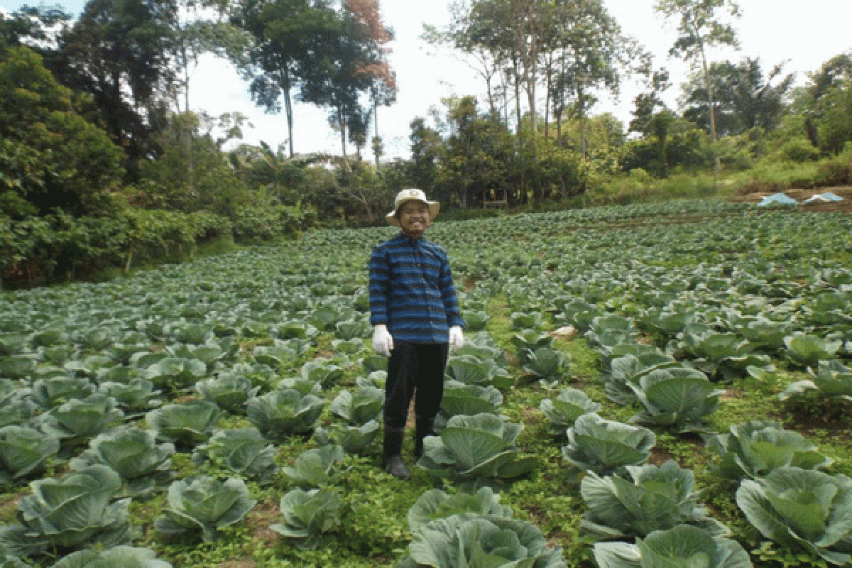 Alumni IPB Sukses Menjadi Fasilitator Lapang Pendamping Petani 