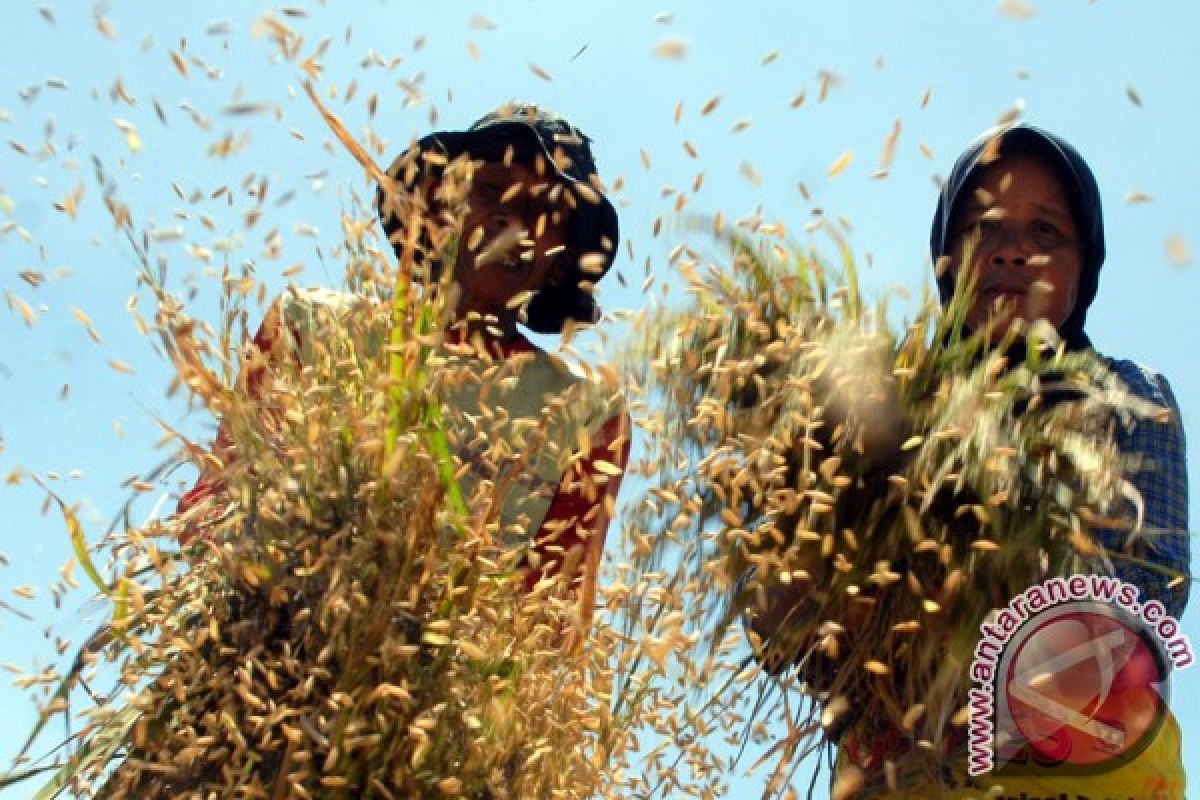 Banten tolak masuknya beras impor