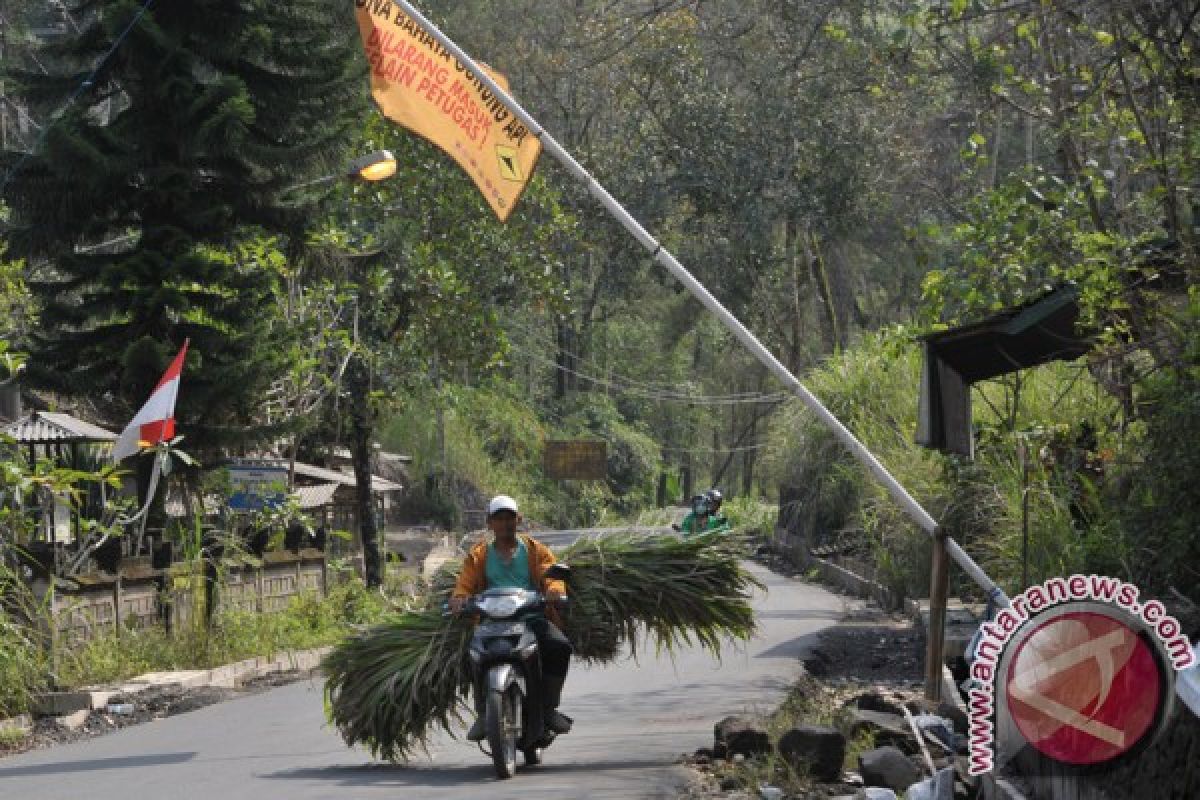 Letusan Gunung Agung jadi momentum kembali ke pertanian