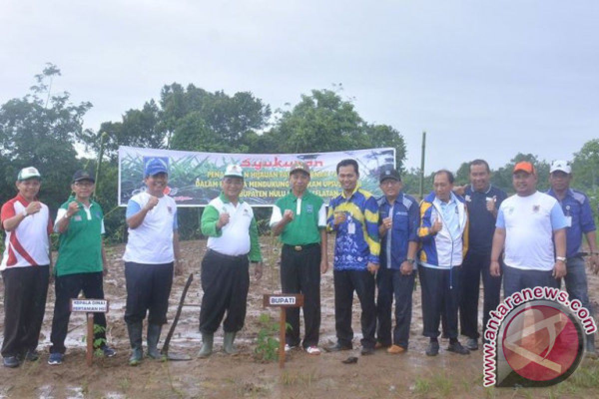 Distan  Buka Lahan Untuk Pakan Ternak  