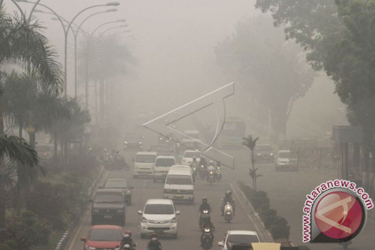 Gubernur tetapkan Riau darurat pencemaran udara akibat karhutla