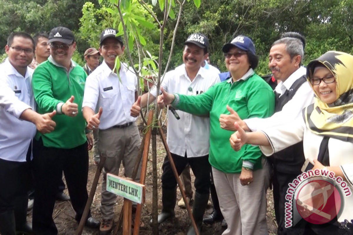 Tanah Laut Tanam 500 Bibit Pohon 