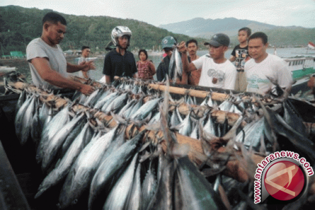 Harga Ikan Laut Di Gorontalo Terpengaruh Cuaca