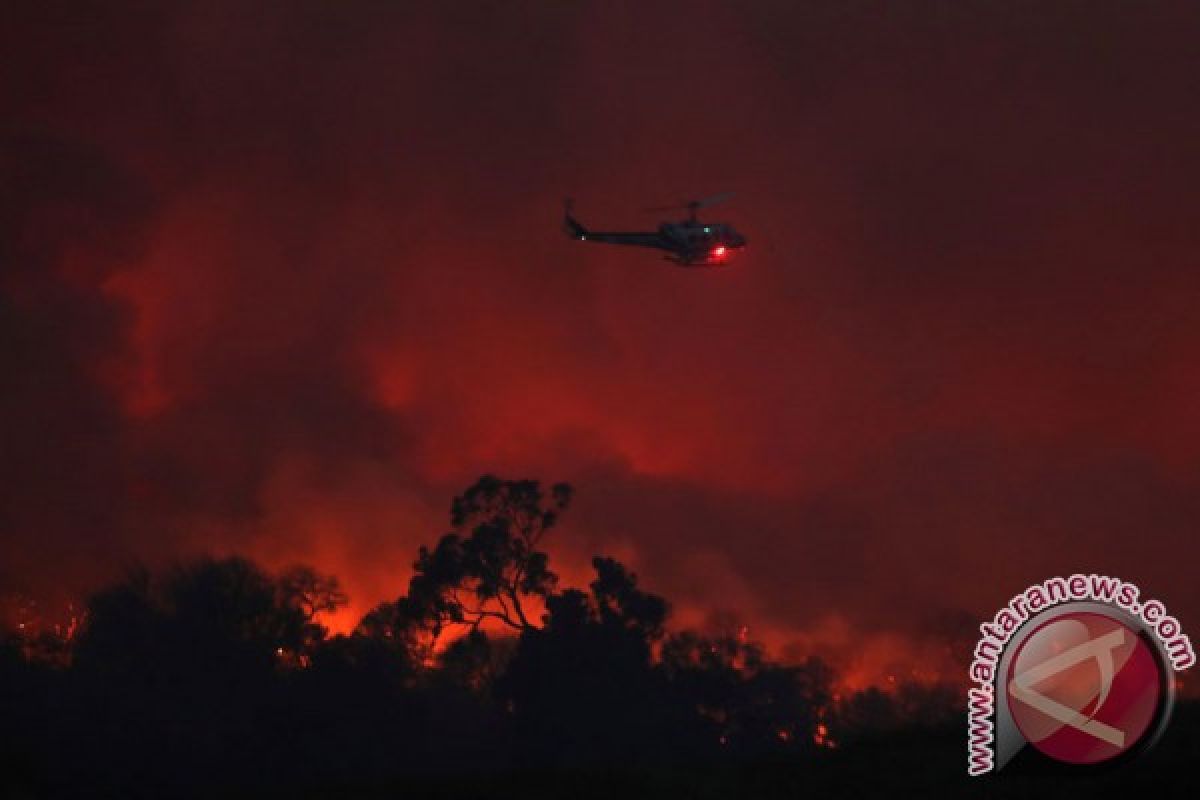 California dalam keadaan darurat karena kebakaran hutan