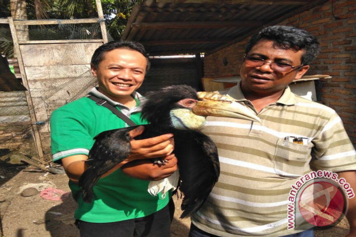 Wartawan Labura Serahkan Burung Langka ke BKSDA