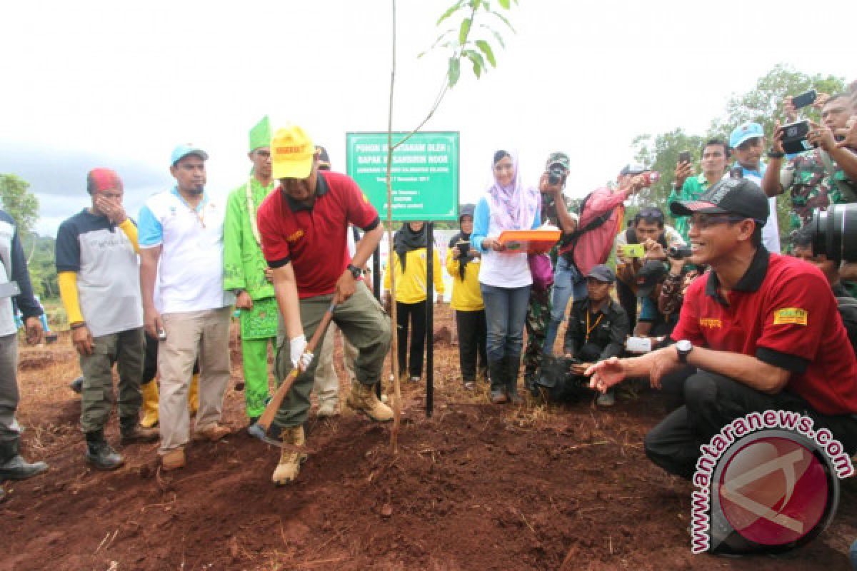 Kalsel Bertekad Tuntaskan Penanganan Lahan Kritis 