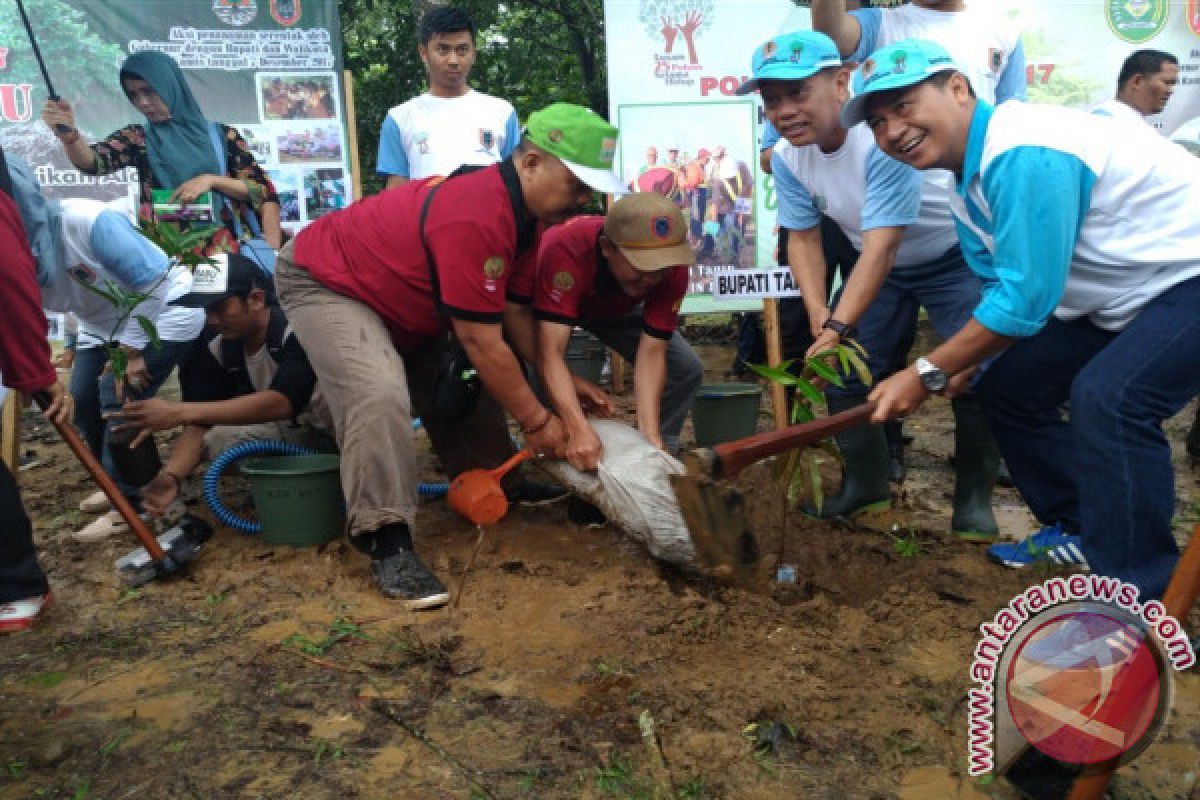 500 Bibit Pohon di Tanam Di Hutan Kota Rantau