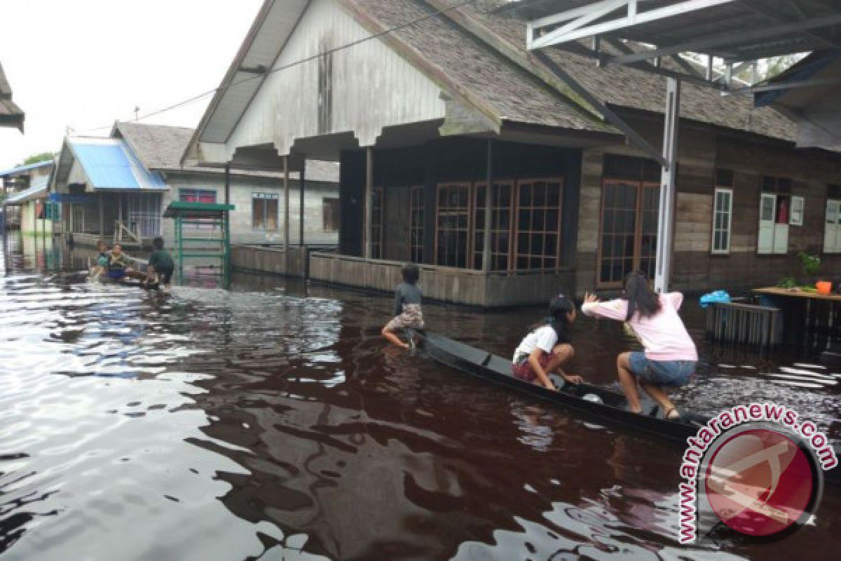 Dua Kecamatan di Kapuas Banjir, Ribuan Jiwa Terancam Keselamatannya