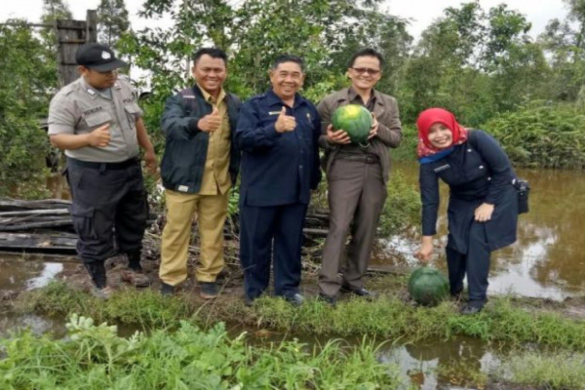 Petani Buah di Palingkau Butuh Pengairan Lahan