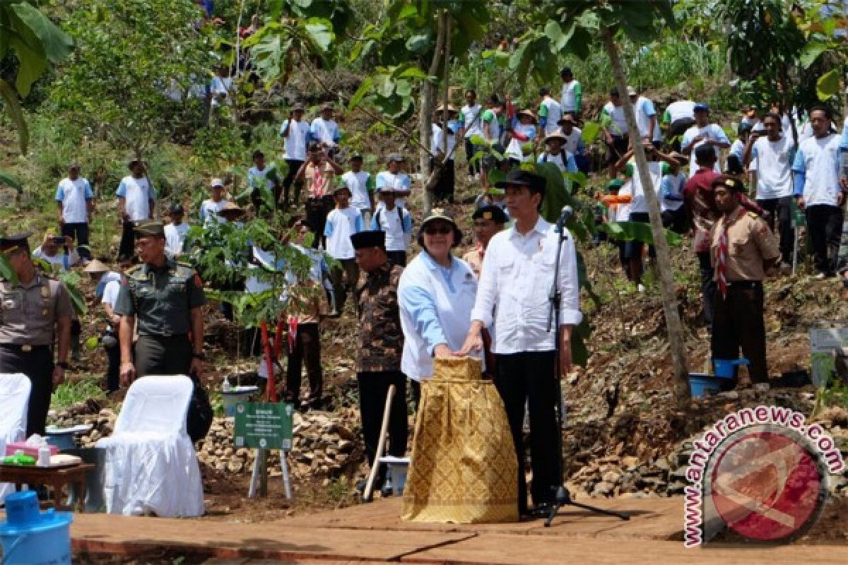 3.000 petani tanam 45.000 bibit pada Hari Menanam Pohon