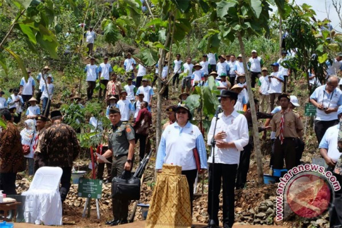 Seruan Jokowi pada Hari Menanam Pohon; pelihara sampai besar