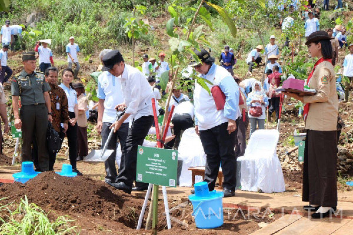 Jokowi Minta Tanam Pohon Juga Harus Dipelihara