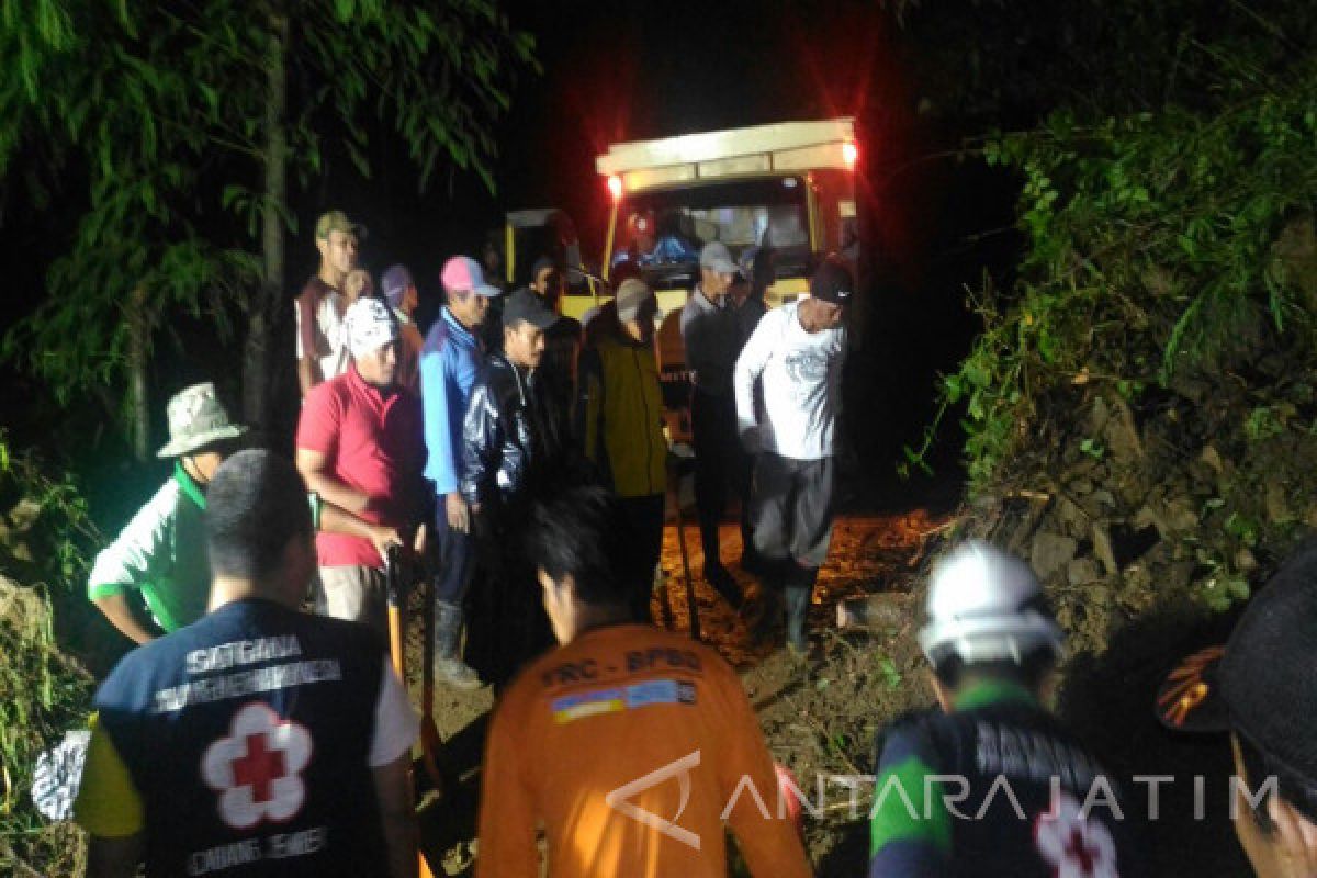 Tebing Longsor Sebabkan Akses Jalan Perkebunan di Jember Terputus