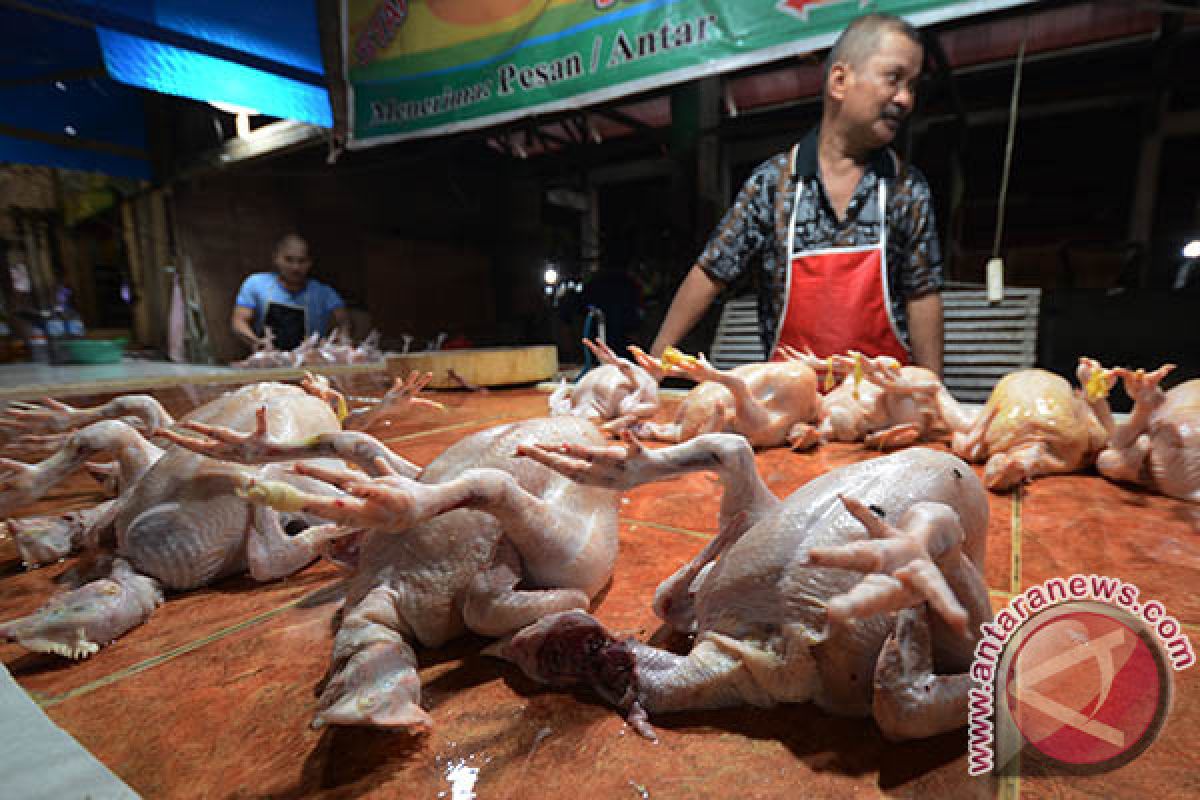 Palu kekurangan stok ayam potong