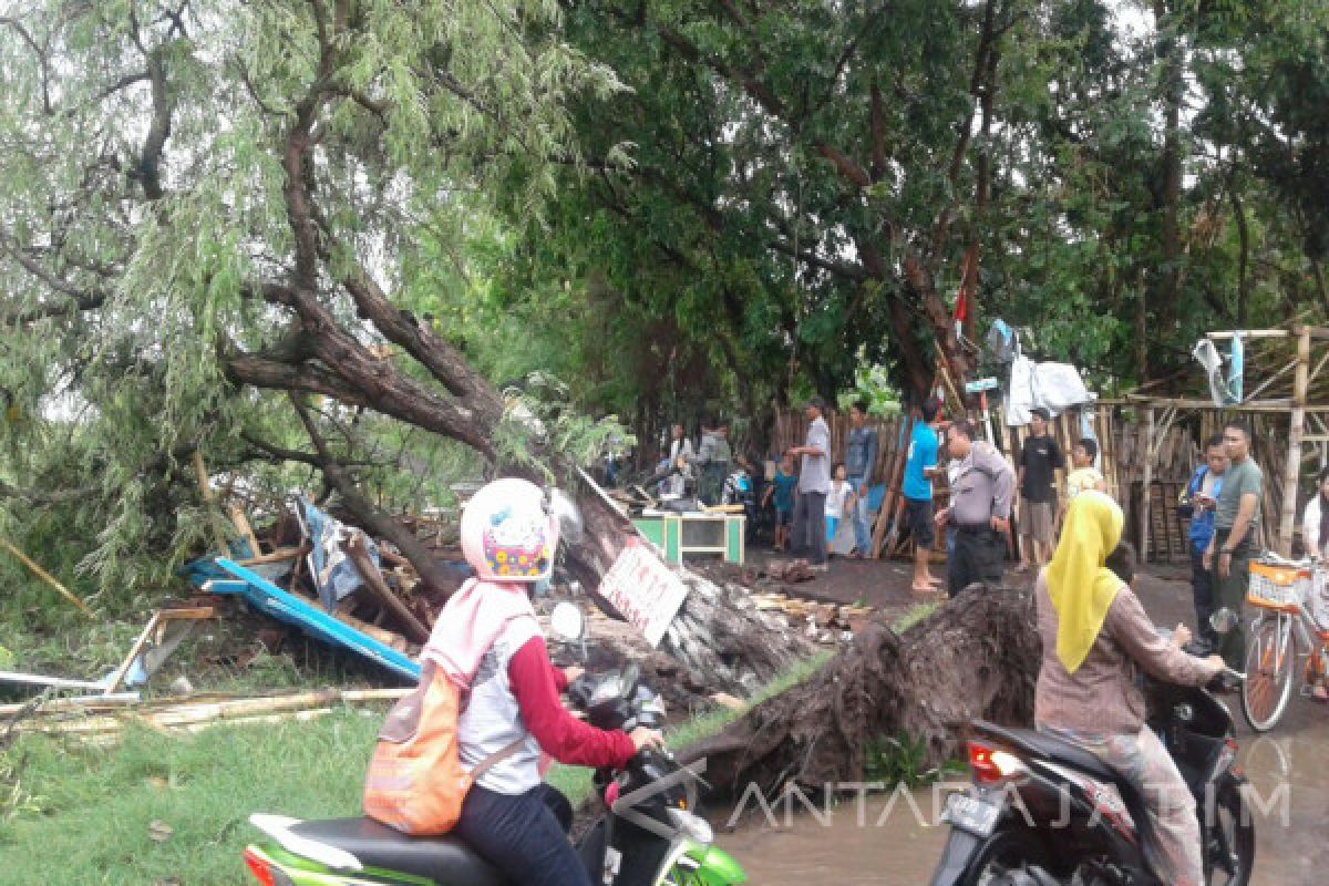 Angin Puting Beliung Terjang Puluhan Rumah di Probolinggo