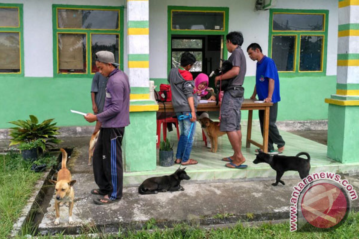 Rejang Lebong vaksin 16.000 hewan penular rabies