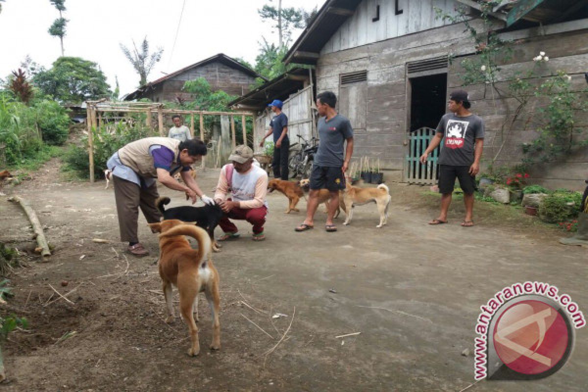 Populasi Hewan Rabies Rejang Lebong Tertinggi Di Bengkulu