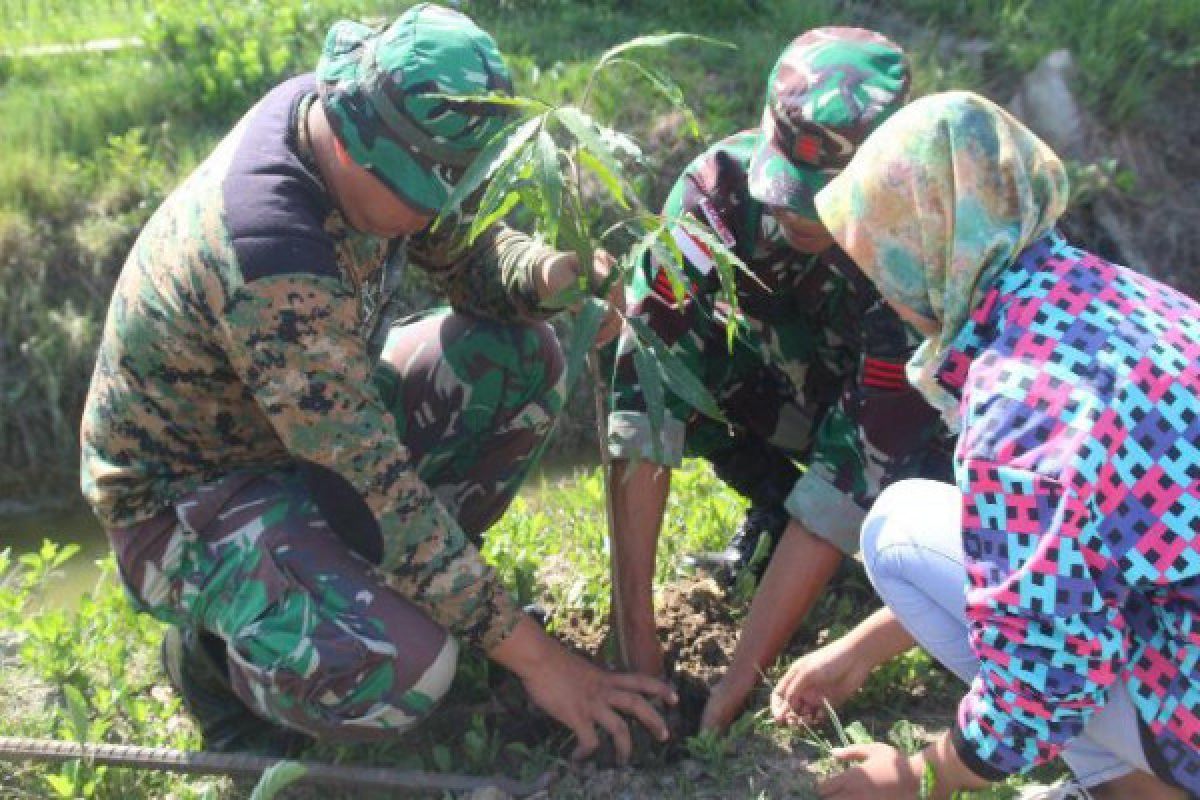 Kodim Merauke tanam 1.000 pohon