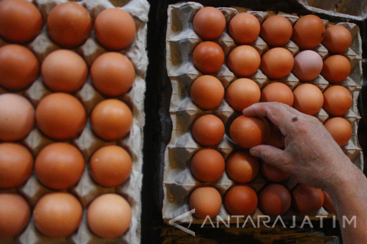 Mengapa Warna Daging dan Telur Ayam Pucat ?