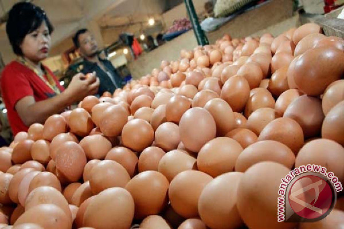 Dinas Perdagangan Kota Kupang Lakukan Opsus Telur 