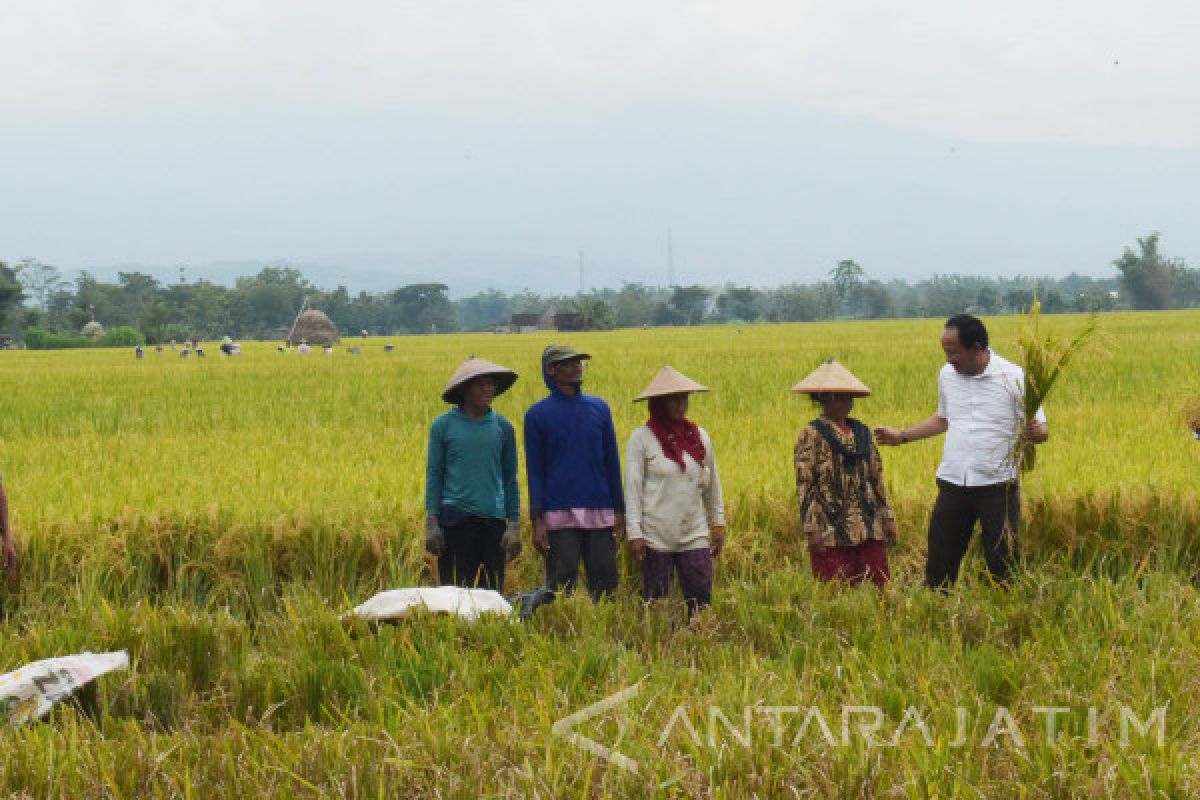 Ponorogo Intervensi Petani dengan Pupuk Organik