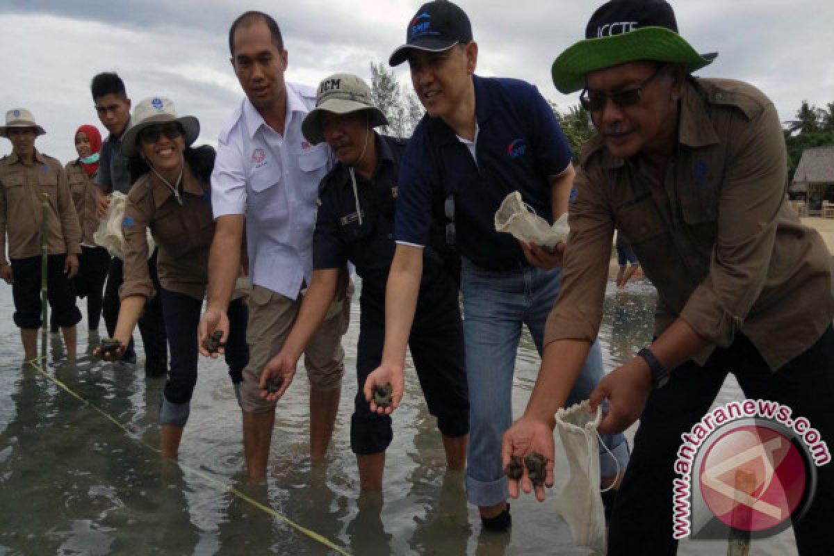 LIPI dan SMF Menebar Ribuan Teripang di Gili Matra 