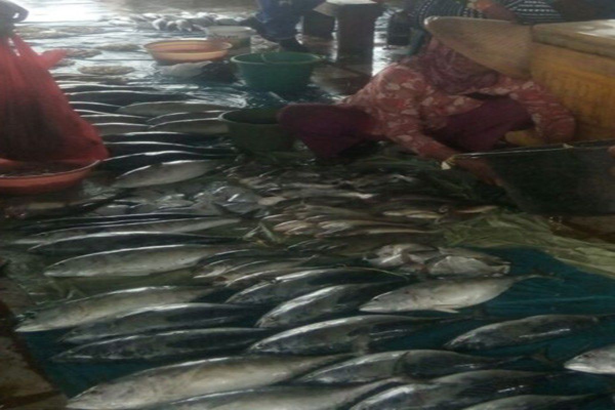 Stok Ikan Melimpah Di Lampung Timur