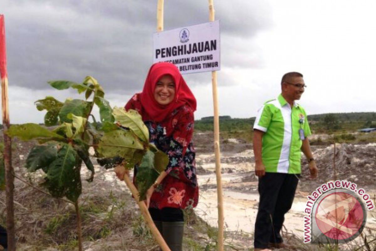 PT Taspen Pangkalpinang tanam 5.000 bibit pohon di Belitung Timur 