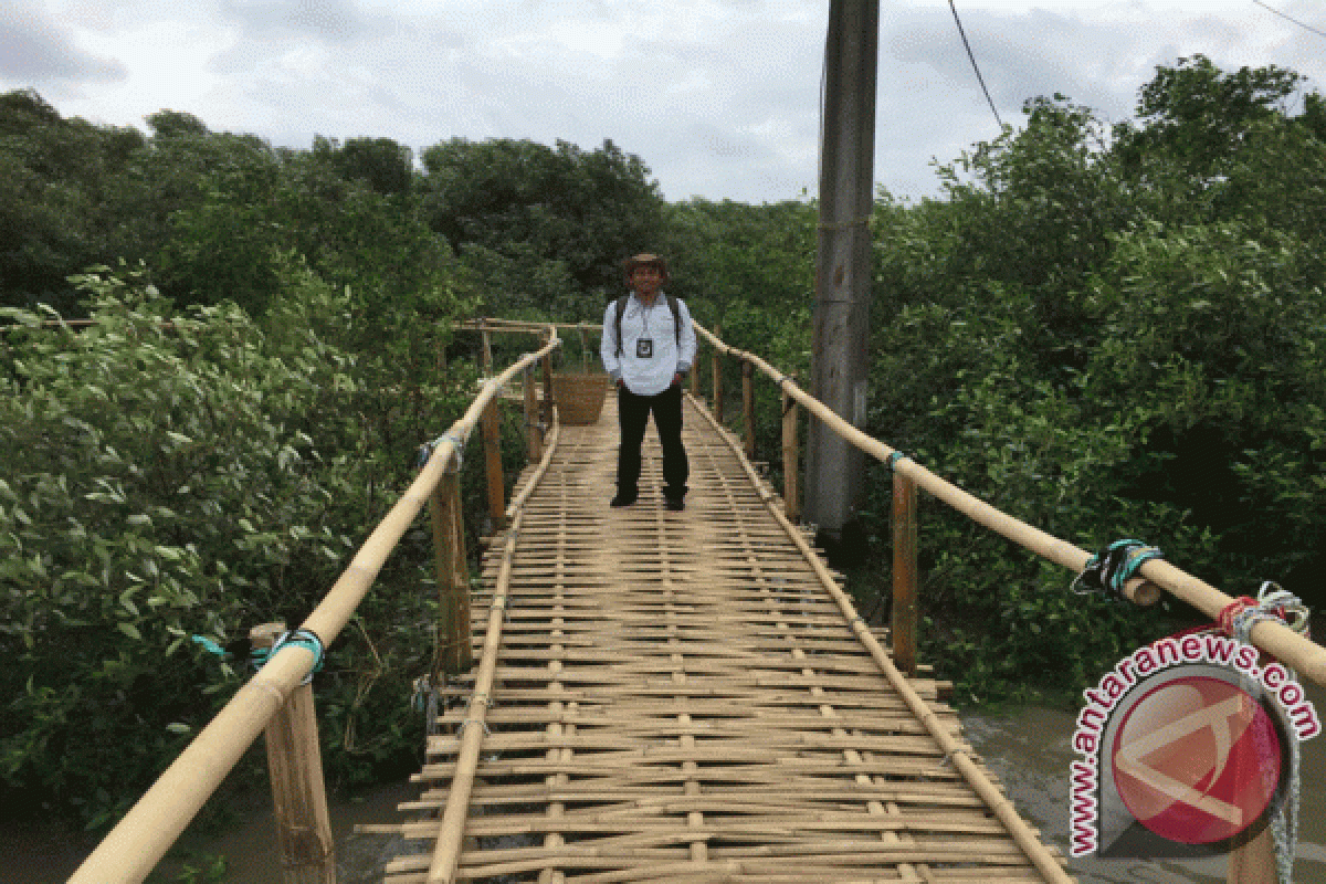 Pertamina kembangkan ekowisata mangrove pesisir Muaragembong