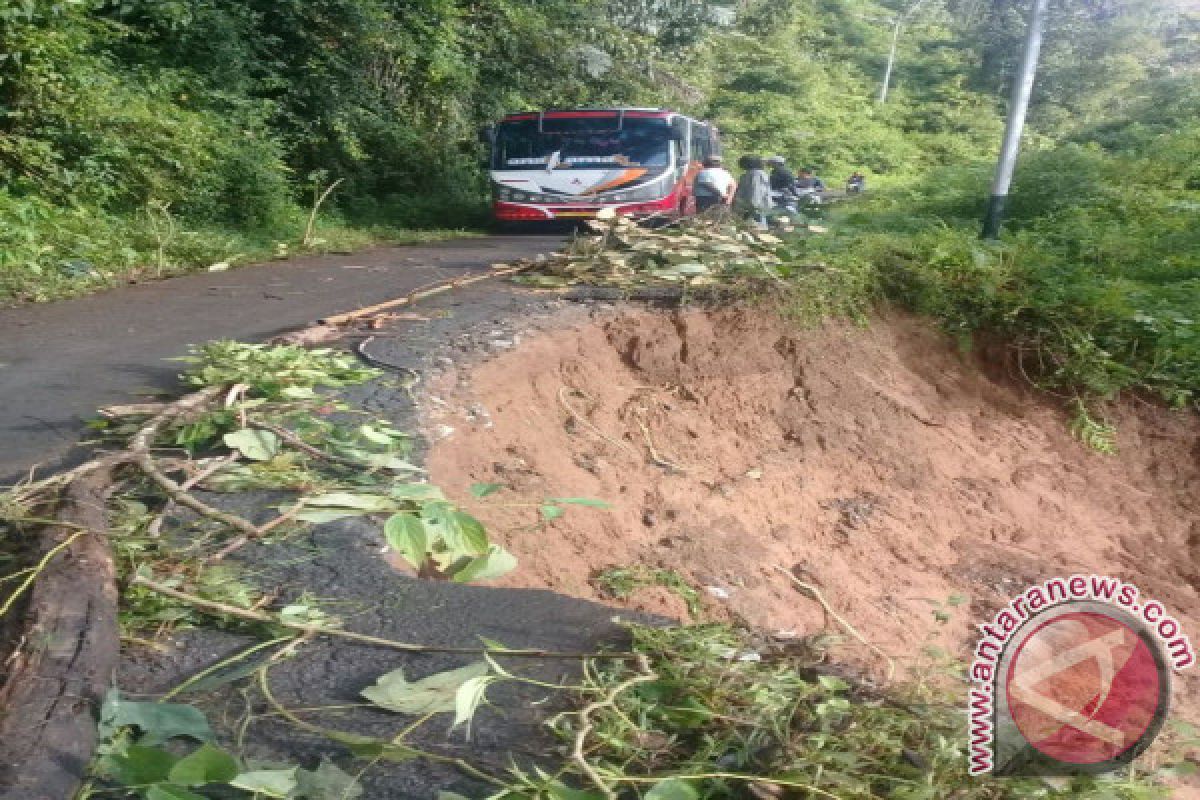 Butuh dana Rp65 miliar untuk perbaikan jalan Palupuh-Palembayan