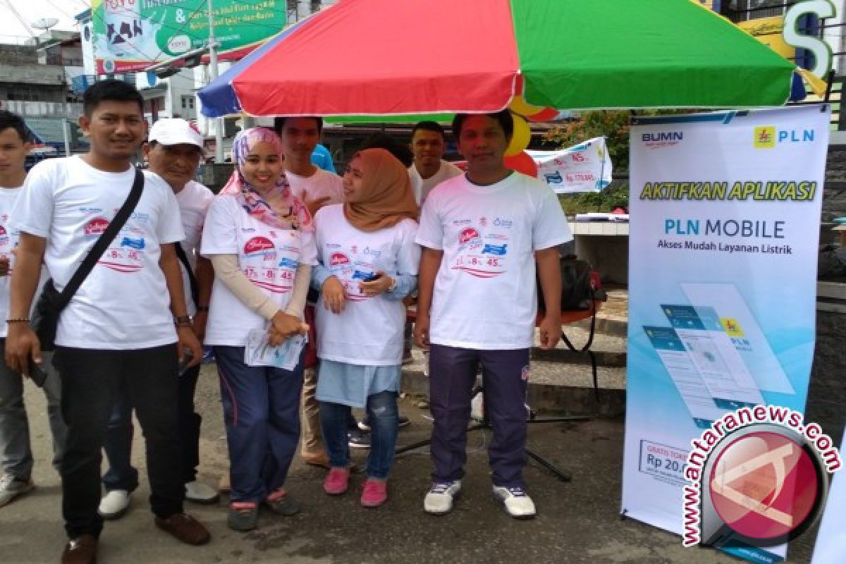  PLN siap sukseskan Program Lisdes 