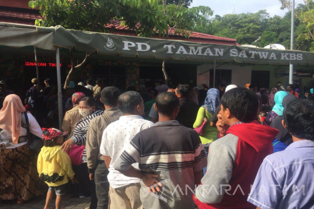 Jumlah Pengunjung di Kebun Binatang Surabaya Meningkat