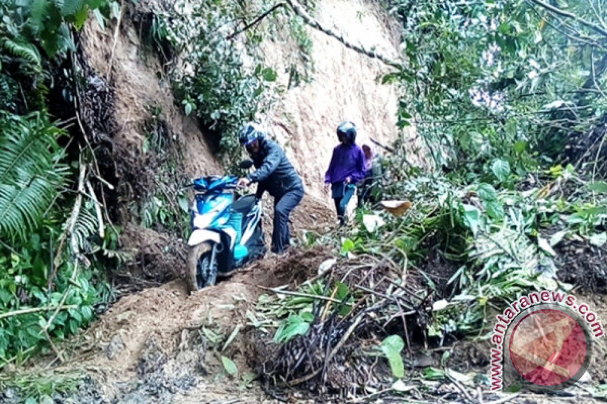 Hujan Sehari, Enam Kecamatan di Agam Dilanda Longsor dan Pohon Tumbang