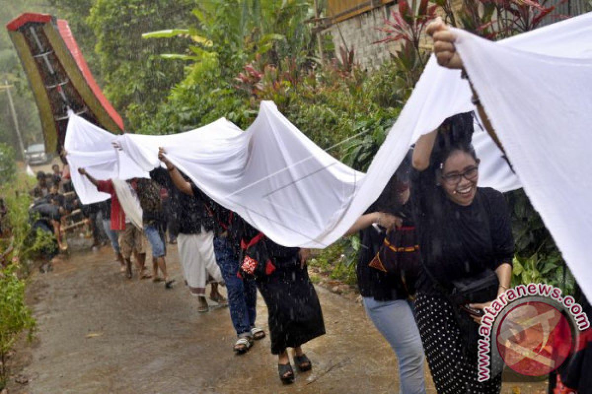 Ritual Ma'Pasonglo di Toraja Utara