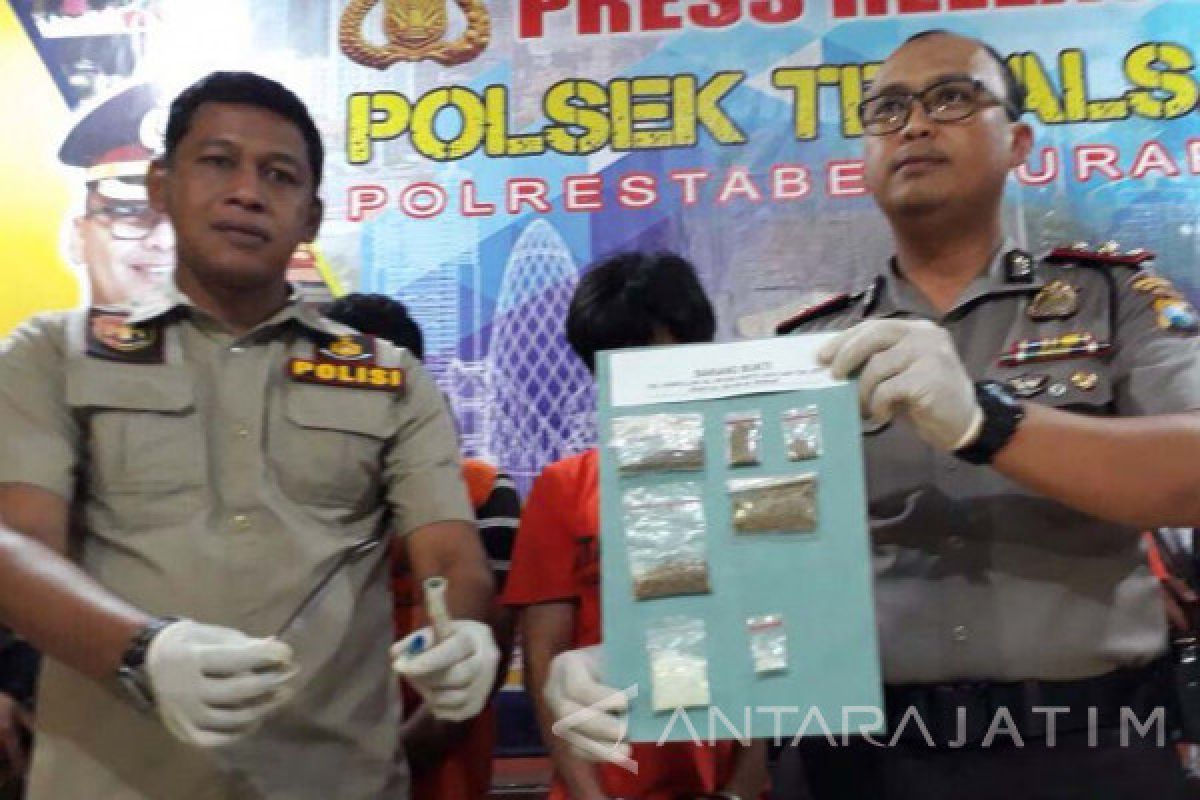 Polisi Temukan Ratusan Biji Ganja Siap Tanam