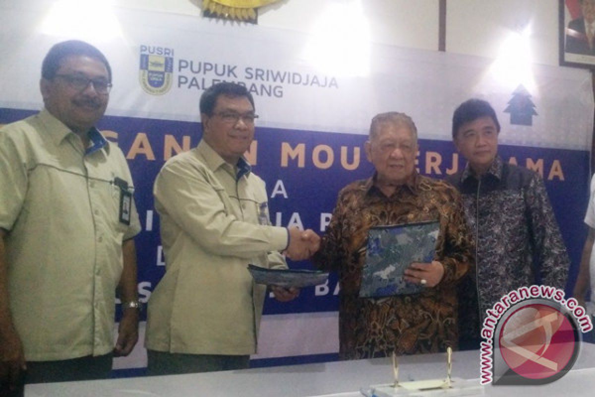 Pusri gandeng perusahaan perkebunan buat lahan percontohan