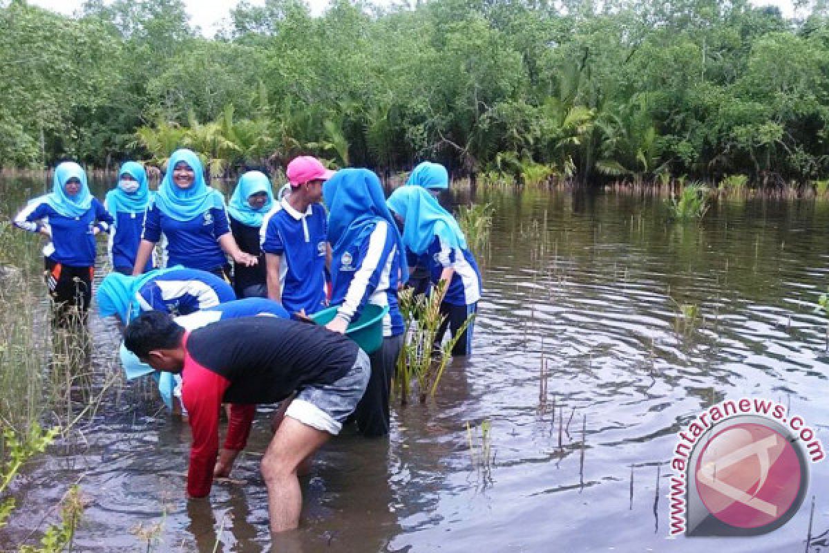 Bentuk Pengabdian Masyarakat, Mahasiswa STKIP Sumbar Tanam 1.200 Mangorve