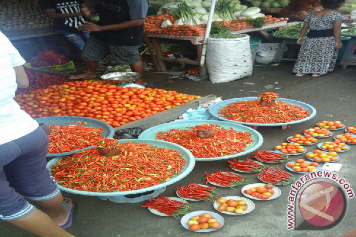 Harga cabai nona di Ternate turun