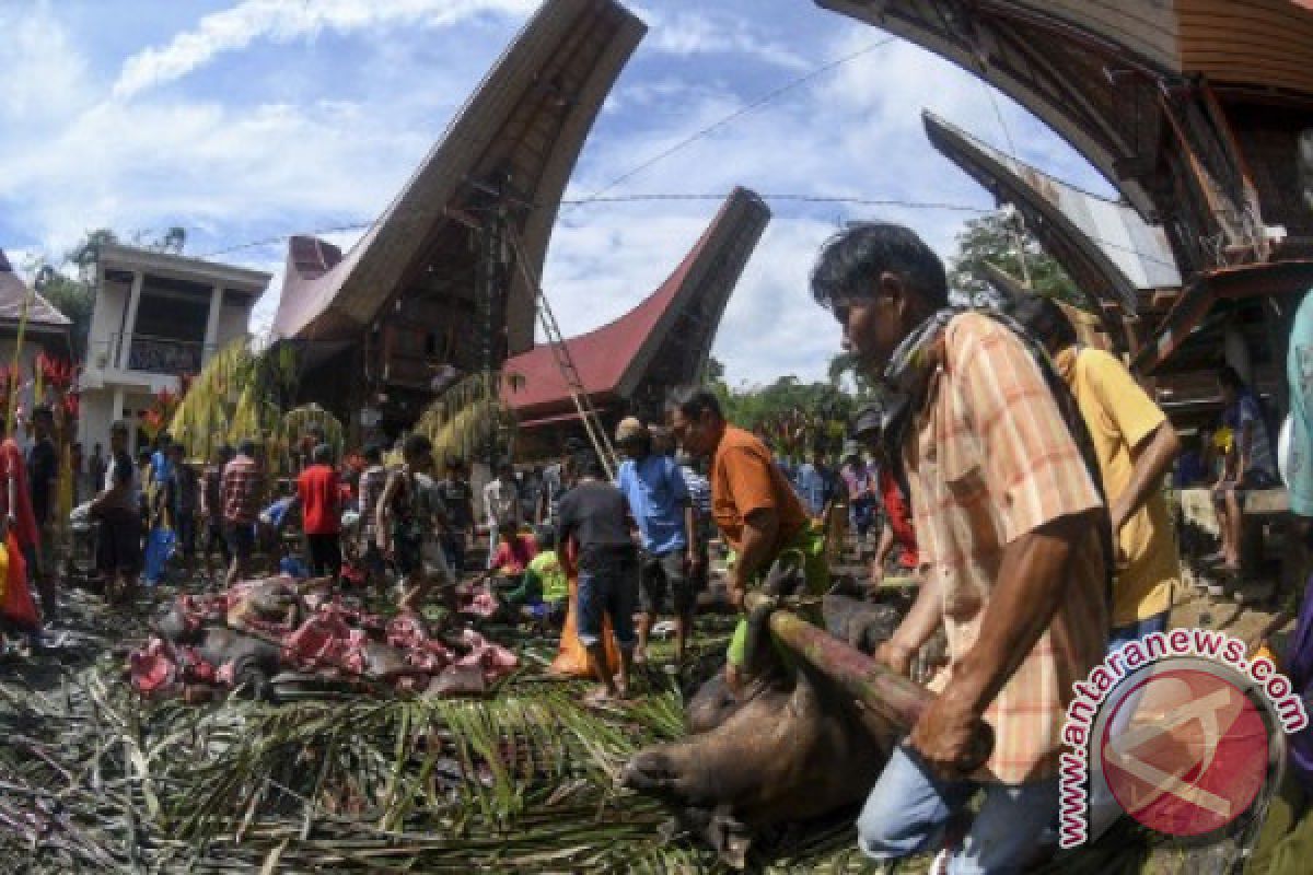 Penjabat gubernur kagumi kekayaan budaya Toraja