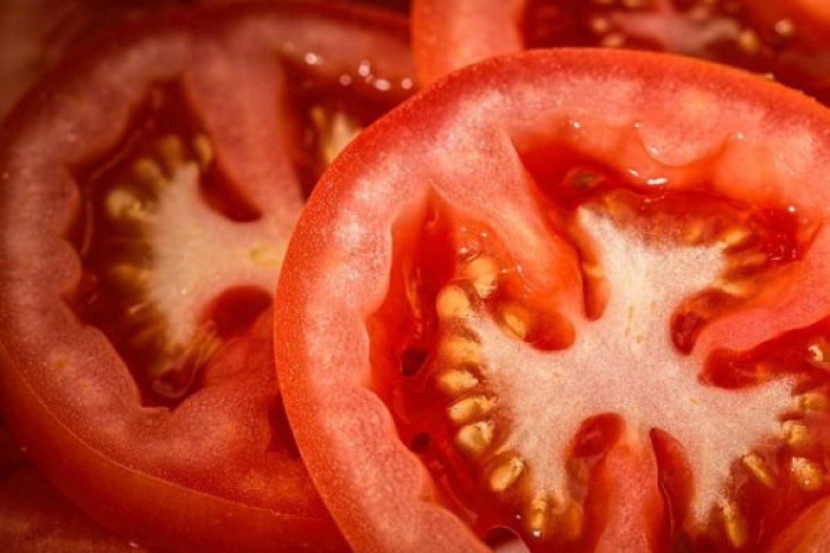 Apel dan Tomat bantu perbaiki kerusakan paru-paru pada bekas perokok